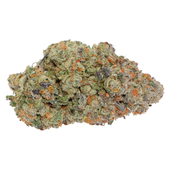 Thin Mint x Jealousy