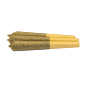 GLTO Infused Pre-Rolls