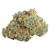 Blueberry Dream Flower