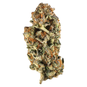 Canadian Northern Series