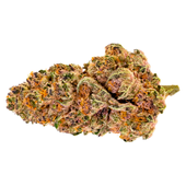 Purple Fog