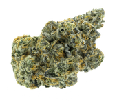 Apricot Frost Flower