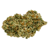 Backcross Mints