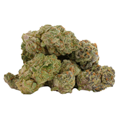 Glitterbomb X Rainbow Cheddar #5 Glitterbomb X Rainbow Cheddar #5