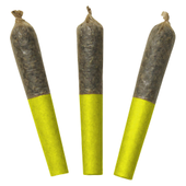 Jungle Juice 60's+ Dbl Infused Pre-Rolls