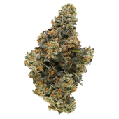 BC Organic Hollywood Mac