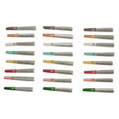 24 Js FOR THE HOLIDAYS