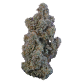 Marshmallow Milk (Kush Mints x Alien Cookies)