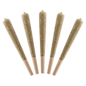 Watermelon Infused Pre-Rolls
