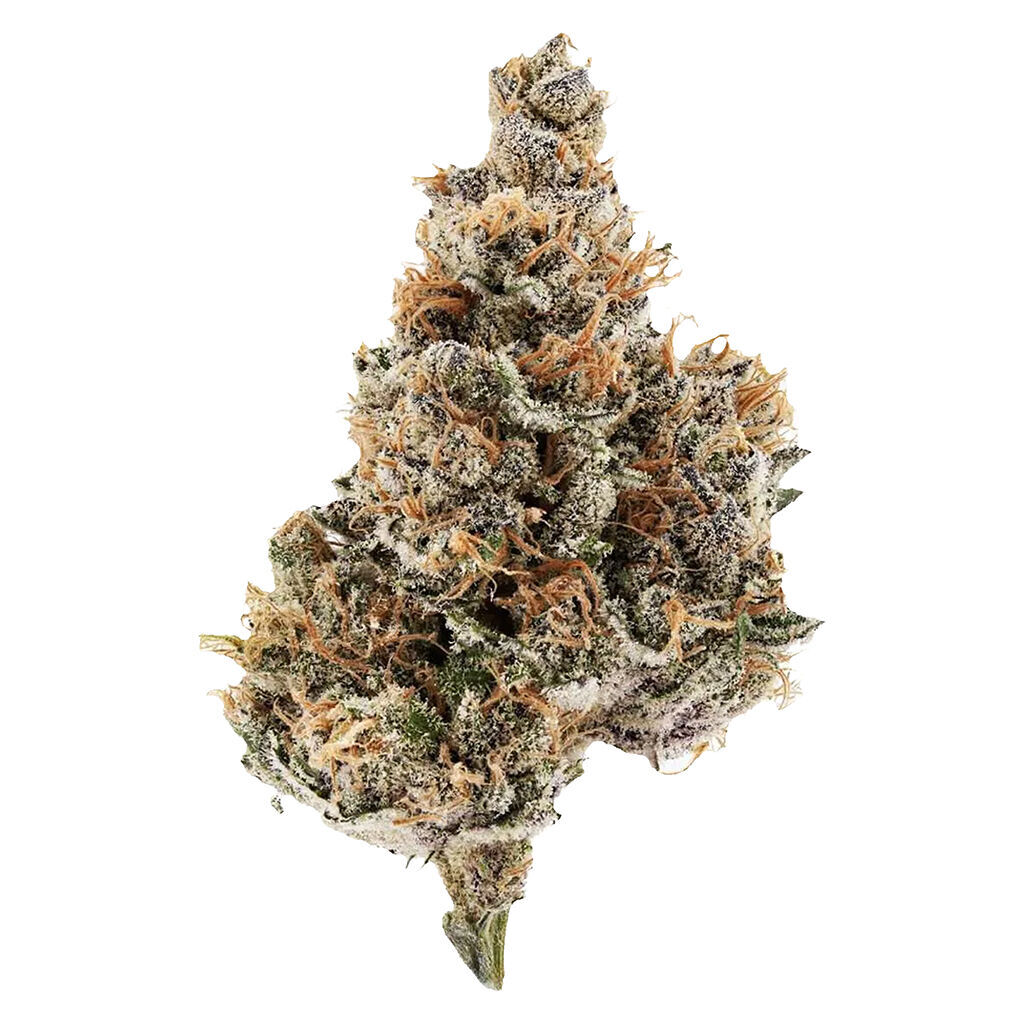 Raspberry Runtz (Raspberry Kush x White Runtz x Space Cake)