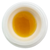 Forbidden Pie Live Resin