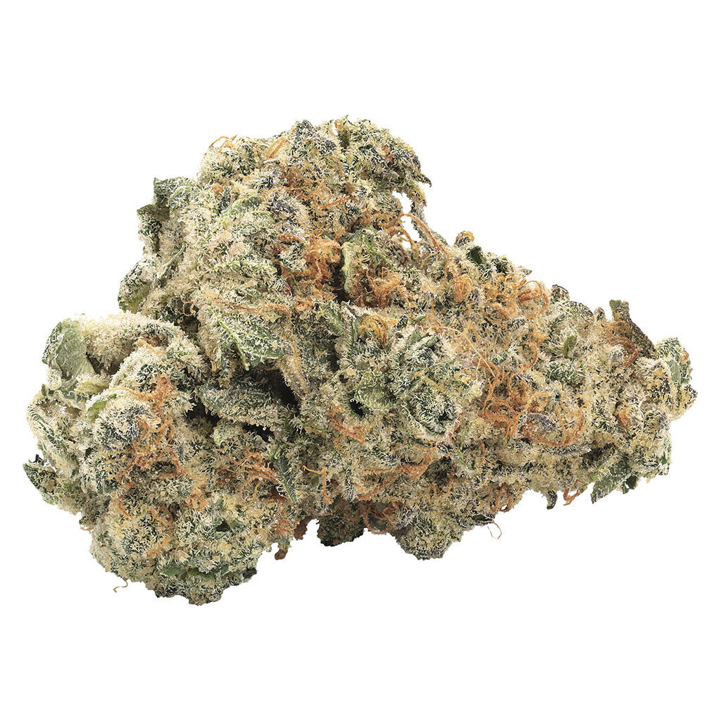 GMO Kush (Cherry Kush x GMO)