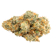 Platinum Mints