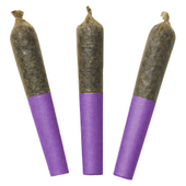 Motor Breath 60's+ Dbl Infused Pre-Rolls
