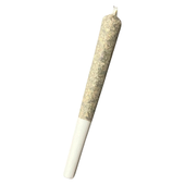 Bluenose Berry Hash Infused Pre-Roll Bluenose Berry Hash Infused Pre-Roll