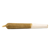 Peach Ringz Distillate Infused Pre-Roll Peach Ringz Distillate Infused Pre-Roll