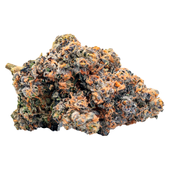 Cookies Gelato YaHemi