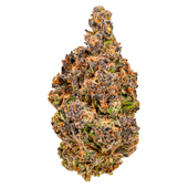Alien Kush