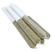 Big Terp Energy Pre-Roll
