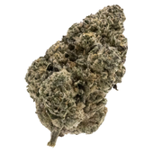 Mellow Man (ICC x Cherry Pie)