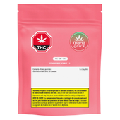 Wana Quick Strawberry Sorbet 1:1:1 5x2mg (THC:CBD:CBG)