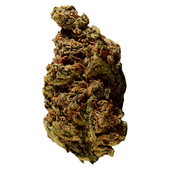 BC God Bud