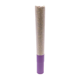 (The Night King) G.S.P (Gas S'il vous Plaît) Ice-Water-Hash Infused Pre-Roll