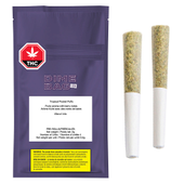 Tropical Pocket Puffs Pre-Roll