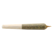 Buddy Blooms - Lil Buddy Sativa Pre-Roll Sativa -1x0.5g Buddy Blooms - Lil Buddy Sativa Pre-Roll Sativa -1x0.5g