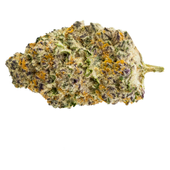 Gorilla Milk Gorilla Milk