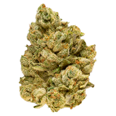 Emergenz (Orange Push Pop x Sunset Sherbet)
