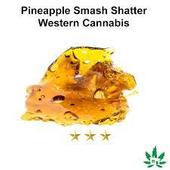 Western Cannabis PINEAPPLE SMASH Sativa Shatter 1X1G - 1 g