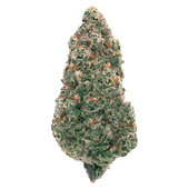BACK FORTY Mandarin Cookies (Mandarin Sunset X Ethos Cookies #12) 28g