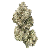 Royal Dive#5: Purple Zombie