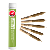 Citrus Haze Distillate Infused Pre-Roll