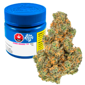 Pink Diesel '71