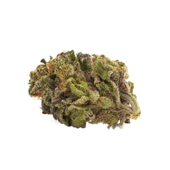 Sativa