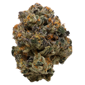 Coastal Cuts - Roll-X