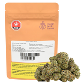 Glazed Apricot Gelato