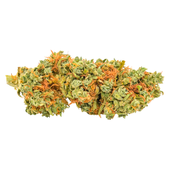 Red Headed Stranger