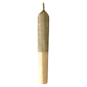 Apple Sau'z Infused Pre-Roll