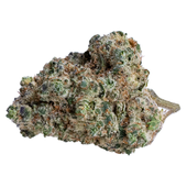 Brain Cake (Faceoff OG x OG Kush Breath) Brain Cake (Faceoff OG x OG Kush Breath)