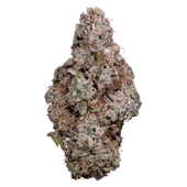 Porto Leche (Oreoz x Grape Jubilee)
