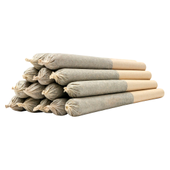 Strawberry Amnesia Joints (Strawberry Cough x Amnesia) | 14x0.5g