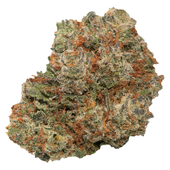 Payday Pack (Grape Bubble Gum)
