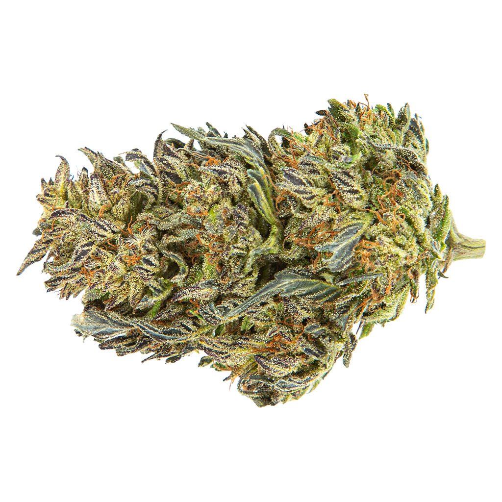 Frenchy Macaroni (Gelato 33 x French Cookies)