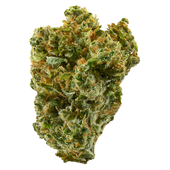 Super Silver Haze