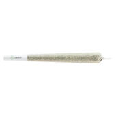 Super Silver Haze Pre-Roll