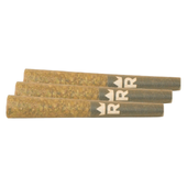 Beach Crasher Pre-Roll