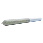 White Blaze Pre-Roll